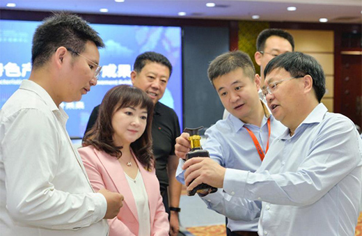 第三届河北国际工业设计周定州分会场启幕